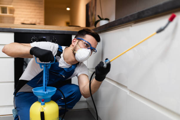 Best Ant Control Services  in Upper Sandusky, OH