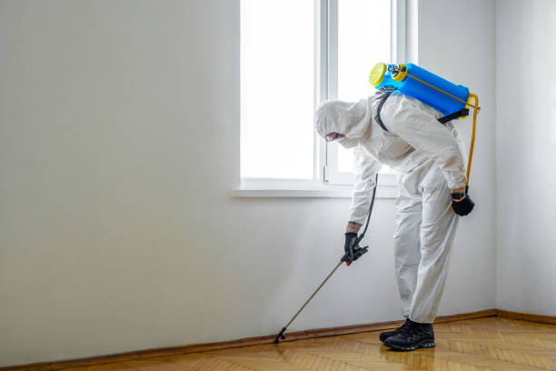 Best Termite Control Services  in Upper Sandusky, OH