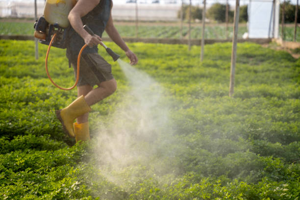 Best Affordable Pest Control Services  in Upper Sandusky, OH