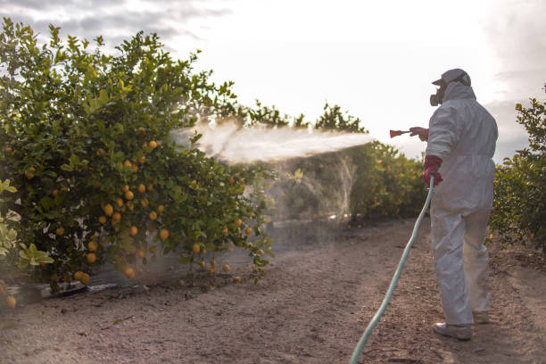 Best Best Pest Control Companies  in Upper Sandusky, OH