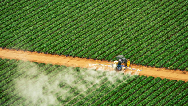 Trusted Upper Sandusky, OH Pest Control Experts