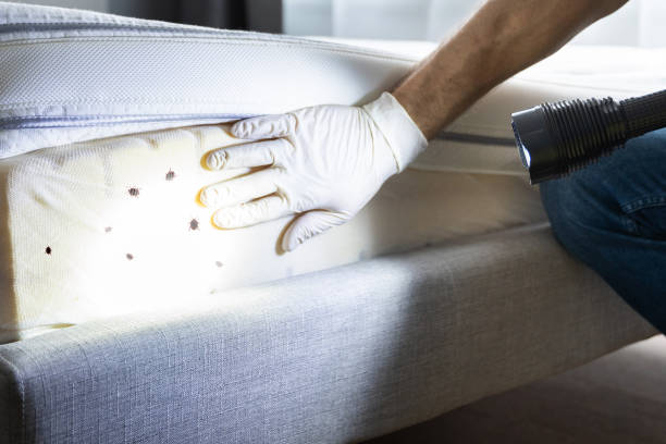 Best Pest Prevention Services  in Upper Sandusky, OH
