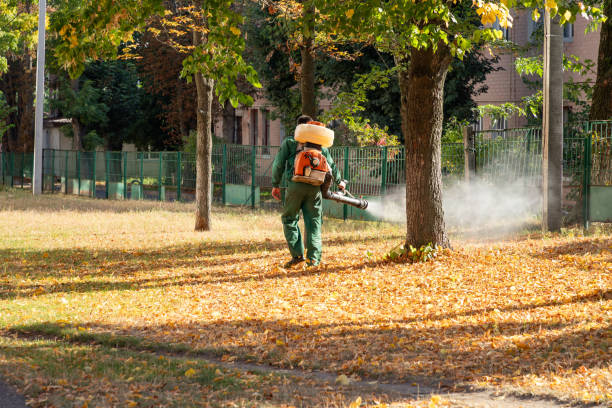 Best Mosquito Control Services  in Upper Sandusky, OH