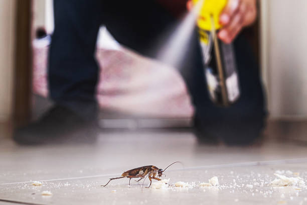 Best Residential Pest Control  in Upper Sandusky, OH