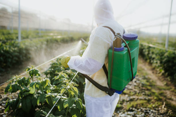Best Emergency Pest Control  in Upper Sandusky, OH